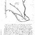 Plat of a Piece of Land near Sperryville Containing 116 Acres