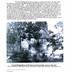 A History of Thornton Gap Primitive Baptist Church on their 210th Anniversary 1787-1997