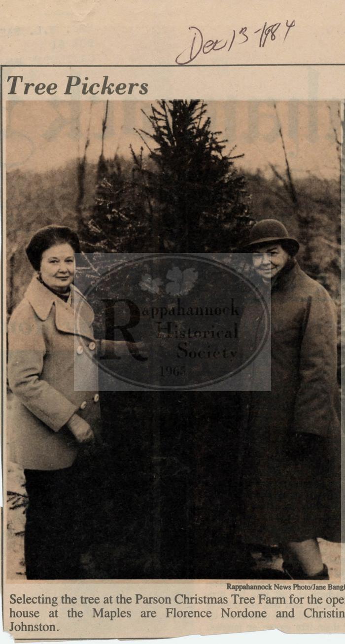 Tree Picked for Open House at the Maples