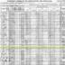 1920 Census Page-Households Cornelia Terrell-Charles Fletcher