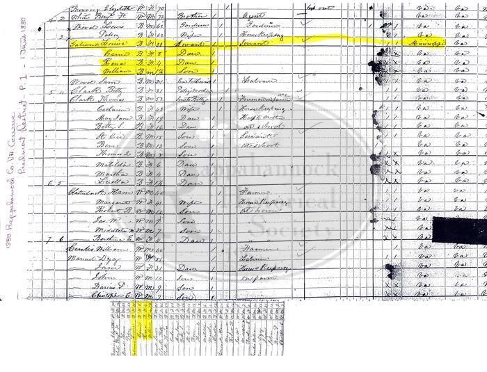 1880 Census Piedmont. Browning to Dycey Manuel
