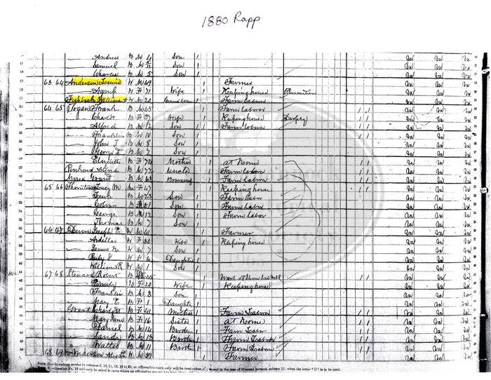  1880 U.S. Census for Rappahannock County-Anderson Family Enumeration.